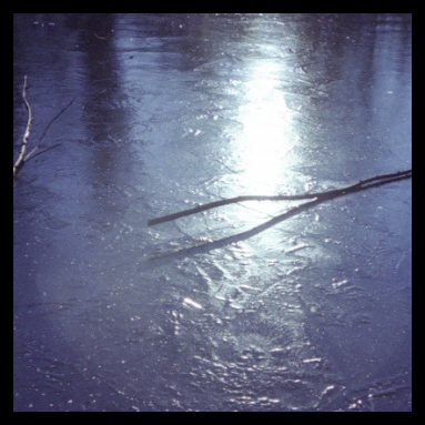 Photo Bernard TOSELLI